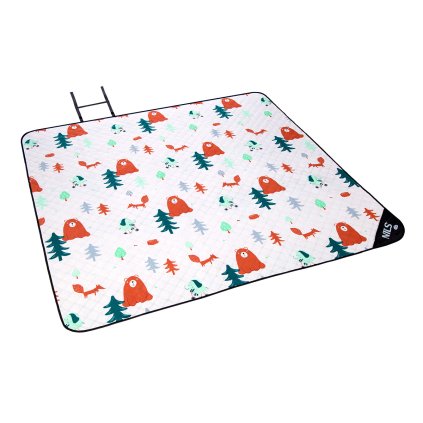 NC8028 FORREST MAXI 01