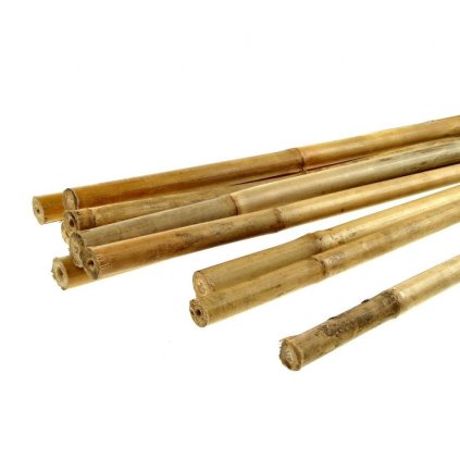 Bamboo Tyč malá průměr 1 - 1,5 cm, délka 100 cm  Bamboo
