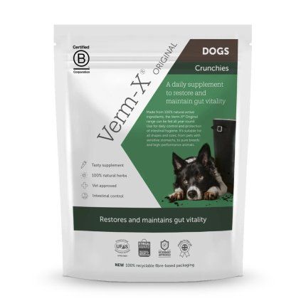 Verm X Prirodni granule proti strevnim parazitum pro psy 325g 2904202414433936557