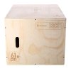 DSC01 PLYO BOX HMS