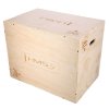 DSC01 PLYO BOX HMS