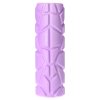 FS119 PURPLE MAXI 02