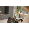 GRAEF Allesschneider M95 Produktvideo SBV043