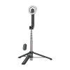 Magnetická selfie tyč Telesin Magnetic Selfie Stick WS-22005